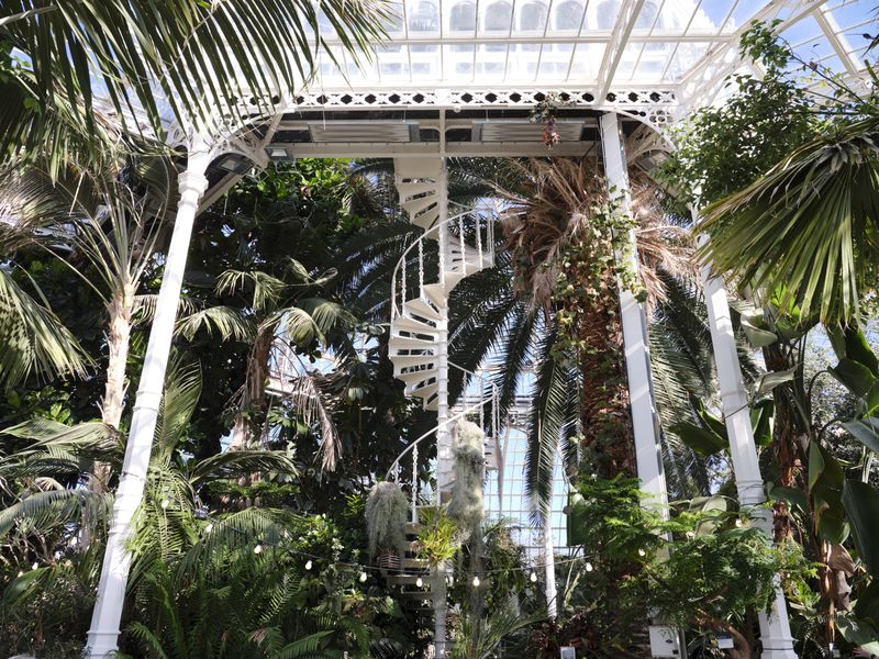 IMAGE CAPTION: Treat yourself to a moment of zen in the majestic Palm House of Sefton Park.